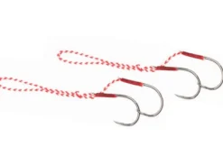 ASSIST HOOK DE RECHANGE RAGOT RAGTENYA