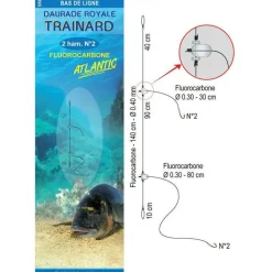 BDL FLUORO DAURADE TRAINARD X10