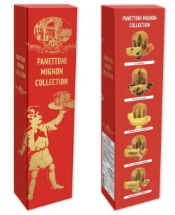 BOITE 5 MINI PANETTONES 500G