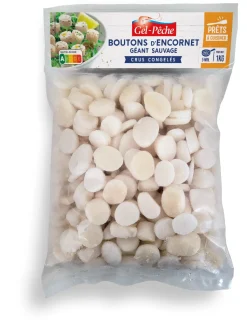 BOUTONS D'ENCORNET GÉANTS CRUS 1KG GEL PECHE