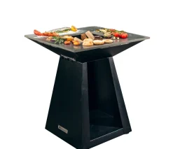 BRASERO QUADRO M CARBON+ PLAQUE CUISSON