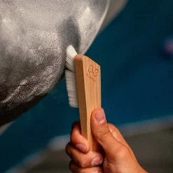 Brosse à Magnesie INFINTY S YY