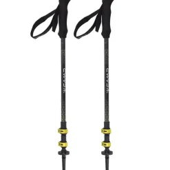 Bâtons de randonnée BACKCOUNTRY CARBON 2.0 CAMP