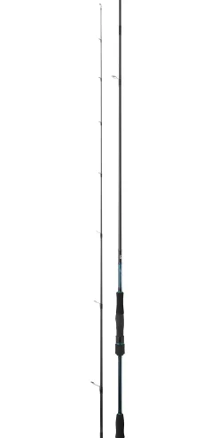 Canne DAIWA Emeraldas S