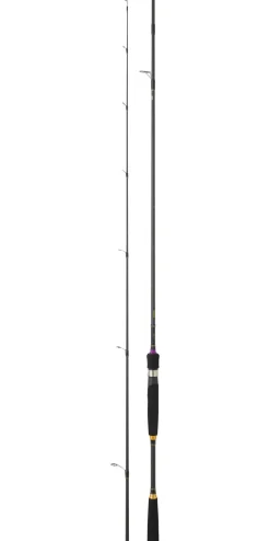 CANNE DAIWA LEGALIS SQUID 252 3.5/21G