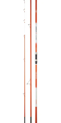 CANNE DAIWA SHORECAST SURF X 420 100/225G