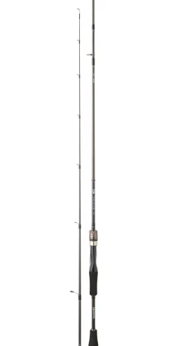CANNE EXCELER SPINNING DAIWA