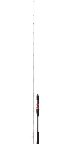CANNE JIGGING DAIWA POWERMESH TAI 193 40/160G
