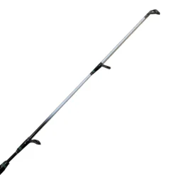 Canne Proteus Telesurf 400 TM | DAIWA