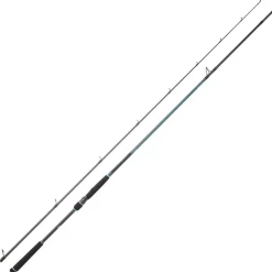 Canne spinning Caldia Seabass | DAIWA
