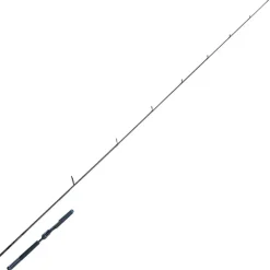 Canne spinning Caldia Seabass 229 10-35g DAIWA