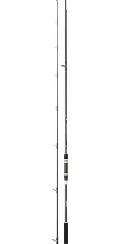 CANNE SPINNING DAIWA PROCASTER GAME III