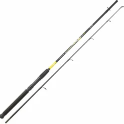 Canne Spinning Fish Instinct Symphony Spincast 210 10-30g | SRT