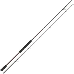 Canne spinning INFEET SEABASS | DAIWA
