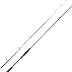 CANNE SPINNING LEGALIS SEABASS | DAIWA