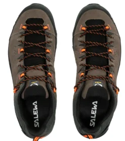 CHAUSSURES BASSES ALP TRAINER 2 GTX SALEWA