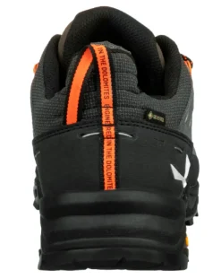 CHAUSSURES BASSES ALP TRAINER 2 GTX SALEWA