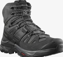 CHAUSSURES HOMME QUEST 4 GTX MAGNET SALOMON