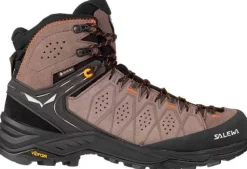 Chaussures Randonnée Homme Alp Trainer 2 Mid GTX SALEWA