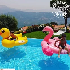 CHEVAUCHABLE FLAMANT ROSE PM INTEX