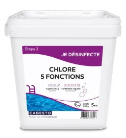 CHLORE 5 FONCTIONS 5KG