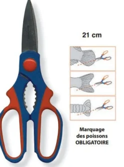 CISEAUX INOX COUPE-QUEUES FLASHMER 14CM