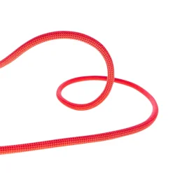 Corde d'escalade JOKER UNICORE Ø 9.1 mm DRY COVER 50 m BEAL