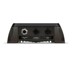 Cortex V1