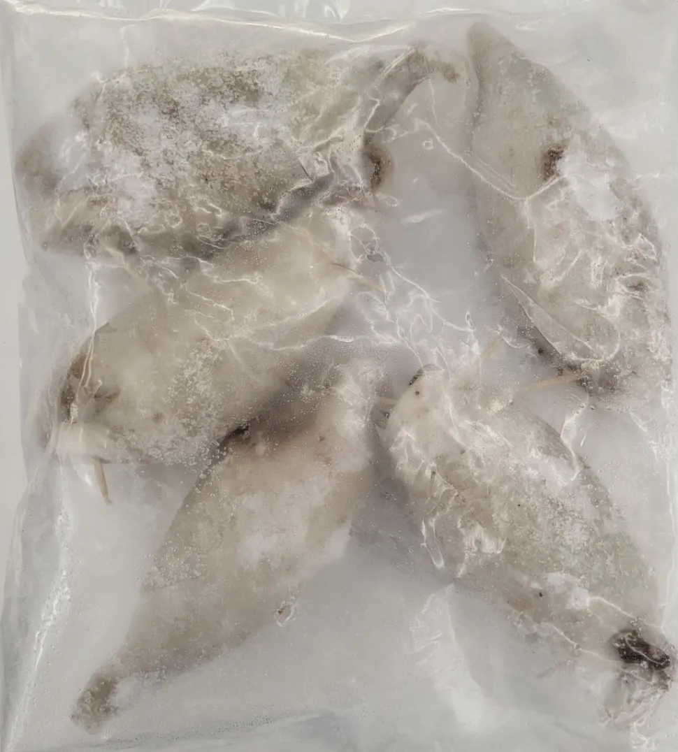 ENCORNETS FARCIS A LA PORTUGUAISE 800G