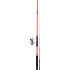 Ensemble CALAMAR BATEAU DAIWA SQUID 240 30/150G