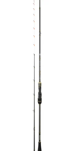 Ensemble casting Tenya DAIWA TEAM Phantom 220 50/150G