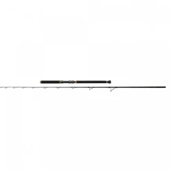 ENSEMBLE PÊCHE SUR CHASSE PENN MARINE BRIGADE 70LB + SPINFISHER VII 6500
