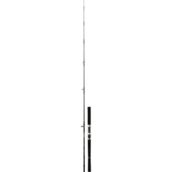Ensemble PECHE SUR CHASSE DAIWA SALTIST 229 60LBS