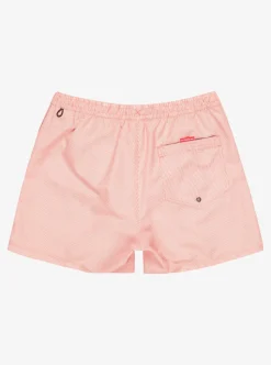 EVERYDAY DELUXE 15" - SHORT DE BAIN POUR HOMME - QUIKSILVER