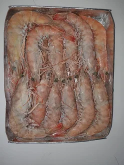 GAMBAS SAUVAGES CRUES MEDITERRANEE 16/20 P 1KG