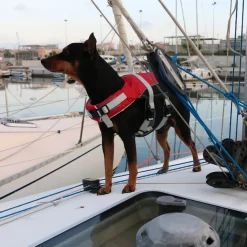GILET DE SAUVETAGE POUR CHIEN TOP CONFORT - LALIZAS