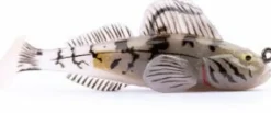 GOBY PAD TAIL 10G | LIVE TARGET