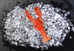 HOMARD CUIT SOUS GLACE MSC 325G