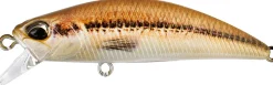LEURRE COULANT DUO SPEARHEAD RYUKI 50S