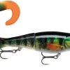 LEURRE RAPALA X-RAP OTUS 170
