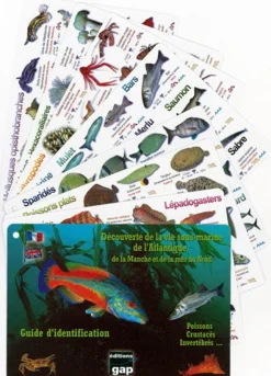 LIVRE DECOUVERTE DES ESPECES DE L'ATLANTIQUE 8 PLAQUETTES TURTLE PROD