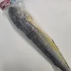 MAHI MAHI ENTIER 1.8 KG Hibifish
