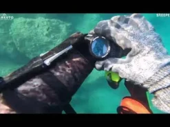 Montre ordinateur d'apnée et de chasse sous-marine NEPTO CRESSI SUB