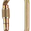 Mousqueton Oxan Screw-Lock - PETZL