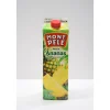 NECTAR ANANAS 1L