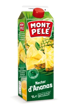 NECTAR ANANAS 1L