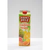 NECTAR COCKTAIL DE FRUITS 1L