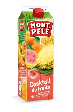 NECTAR COCKTAIL DE FRUITS 1L