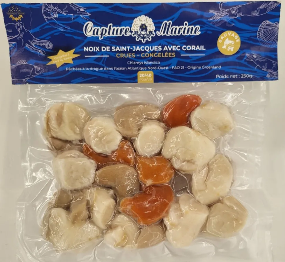 NOIX ST JACQUES ET CORAIL GROENLAND 250G 20/40P
