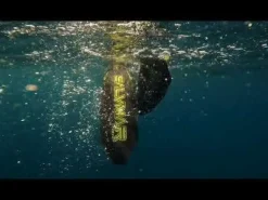Palmes de chasse sous-marine et apnée SPEEDER SALVIMAR